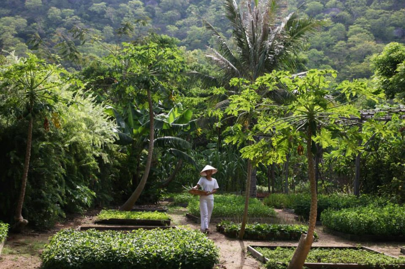 Six Senses Ninh Van Bay