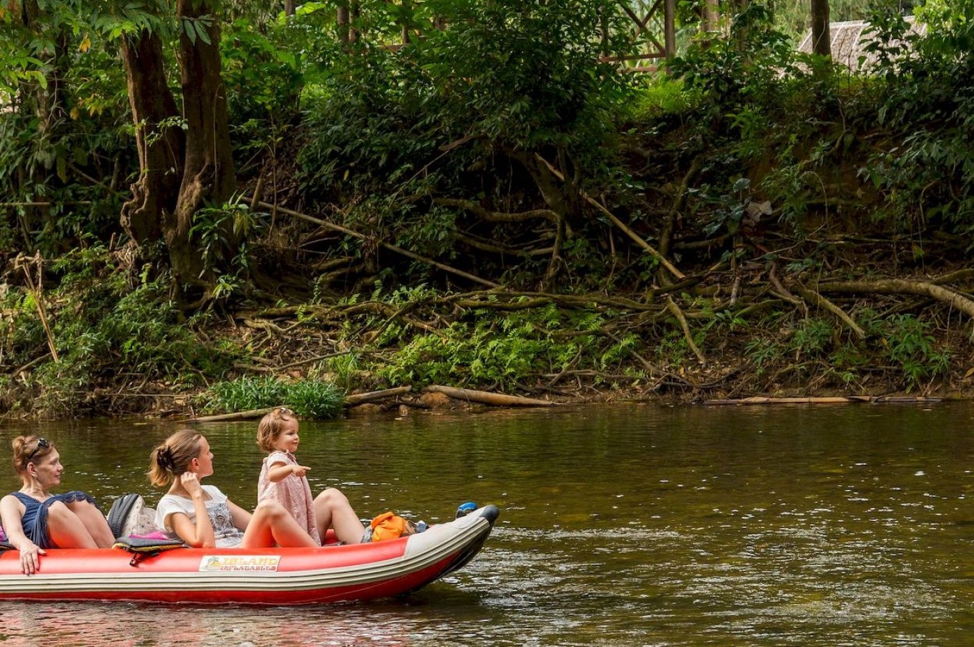 Our Jungle Camp, Khao Sok