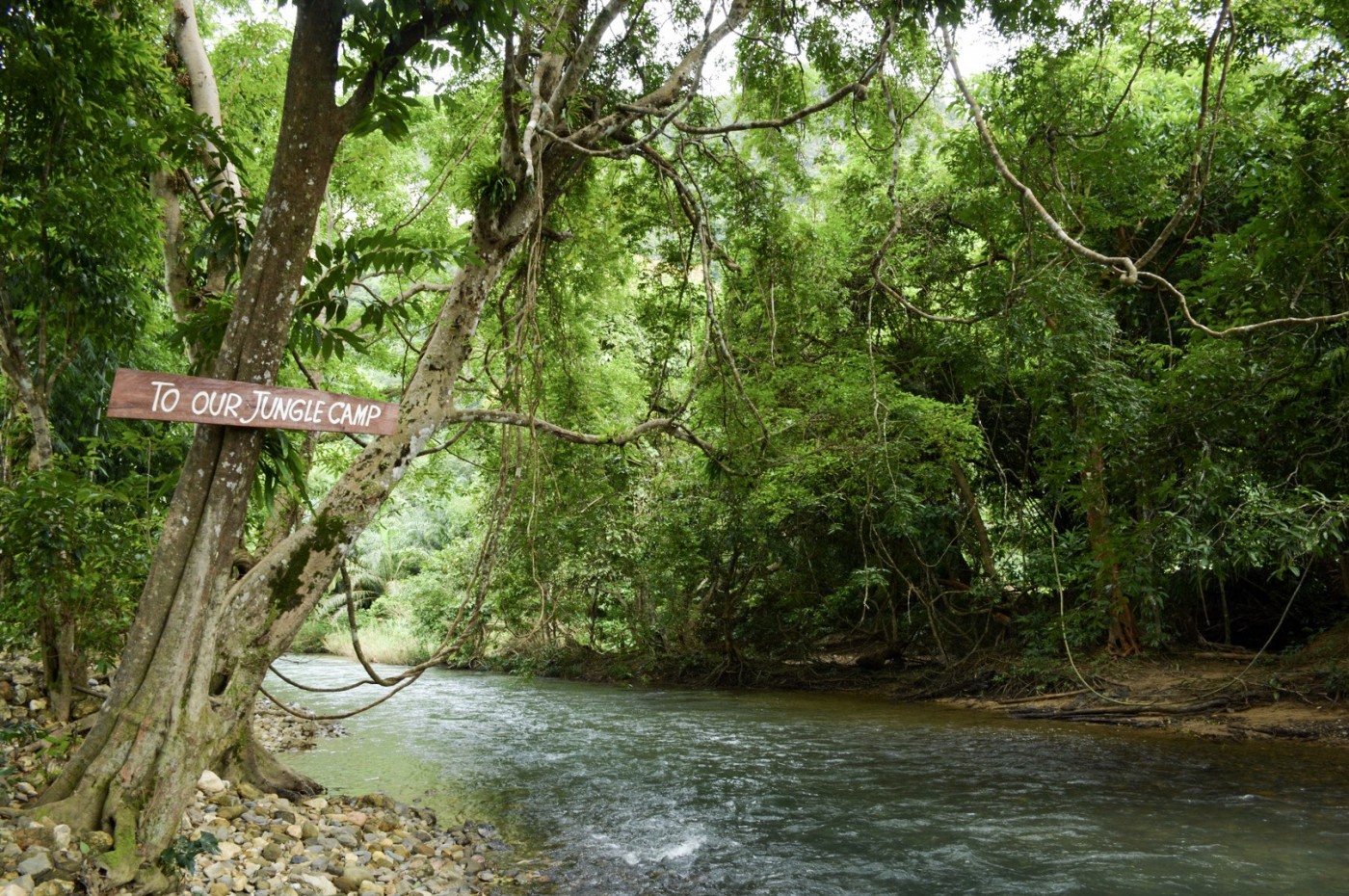 Our Jungle Camp, Khao Sok