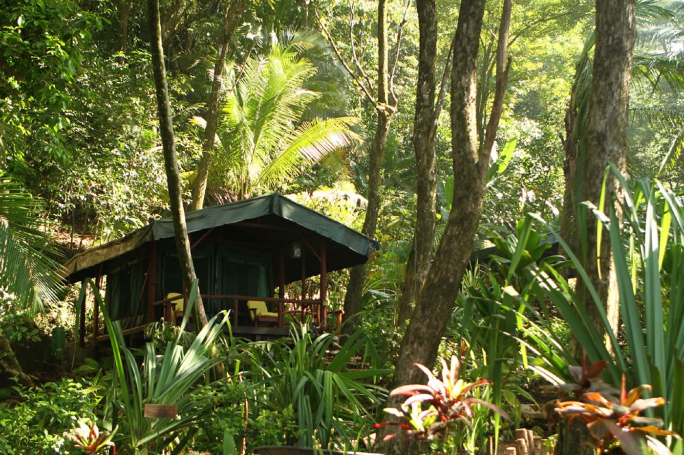 La Leona langt ude i naturen