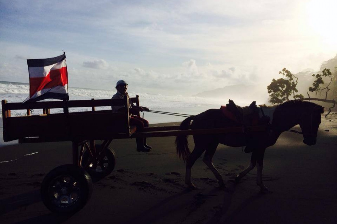 Hesten Pinto ved la Leona sørger for bagagen