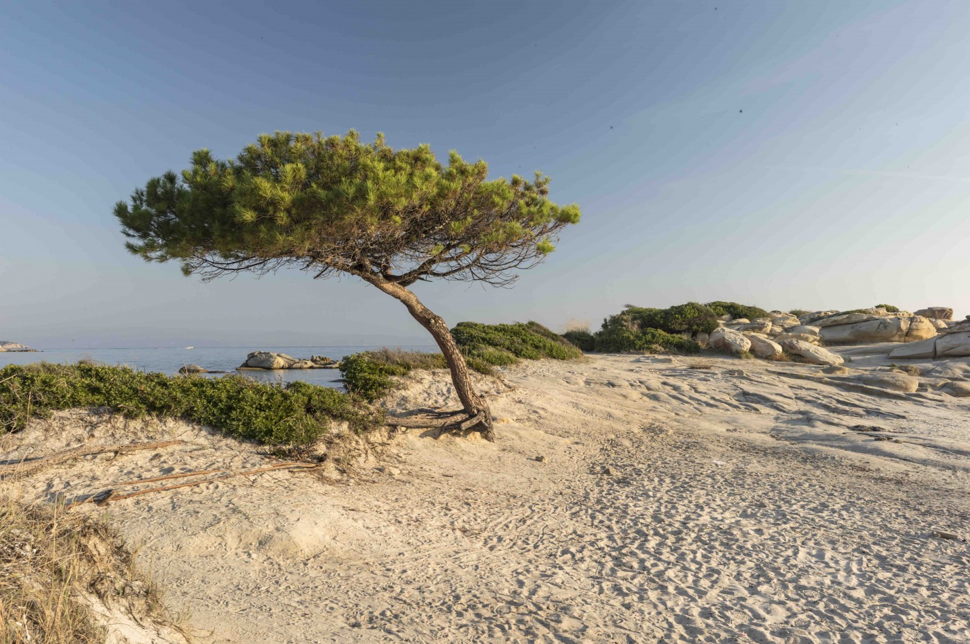 Ekies All Senses Resort, Halkidiki, Greece