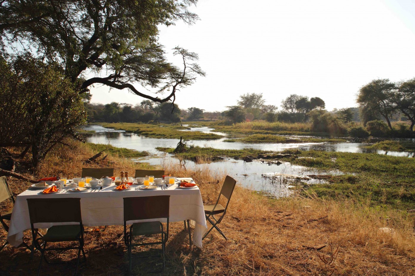 Jongomera, Ruaha, Tanzania