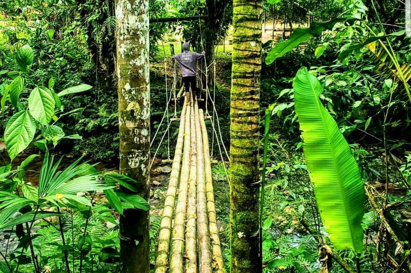 Kuyana Amazon Lodge, Amazonas, Ecuador