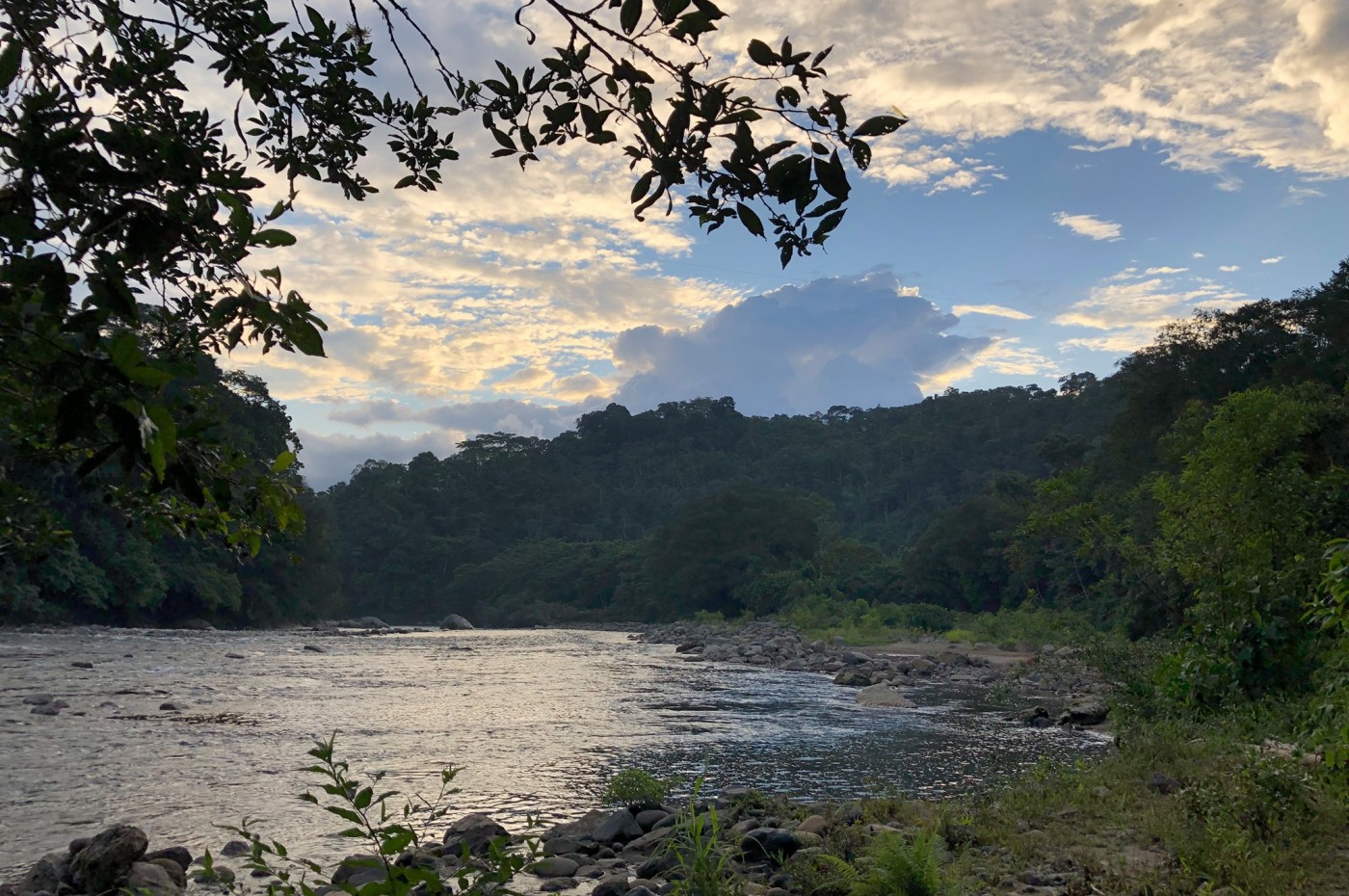 Kuyana Amazon Lodge, Amazonas, Ecuador