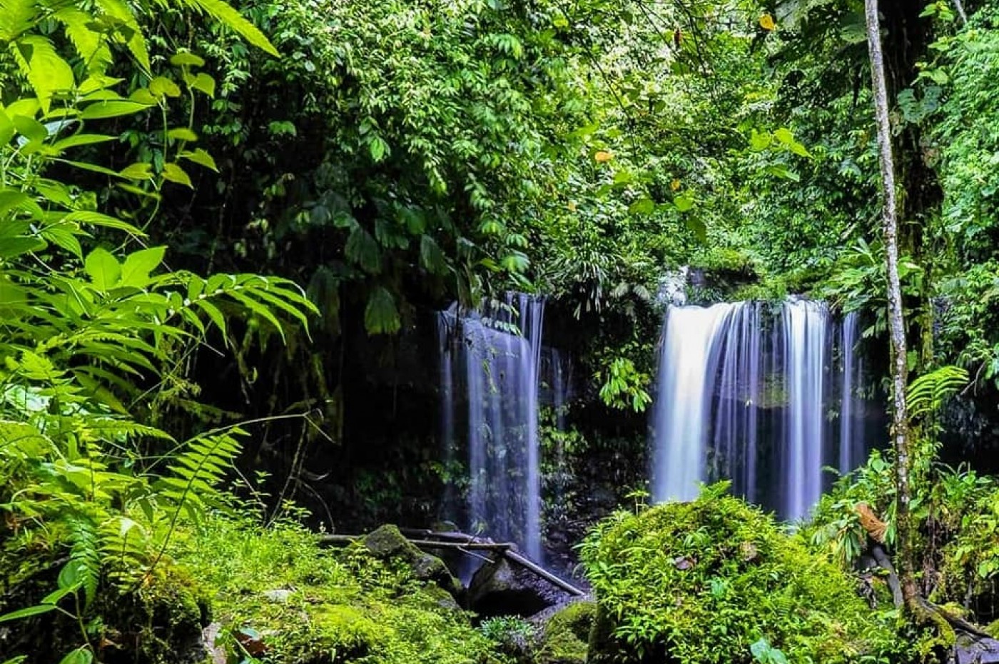 Kuyana Amazon Lodge, Amazonas, Ecuador