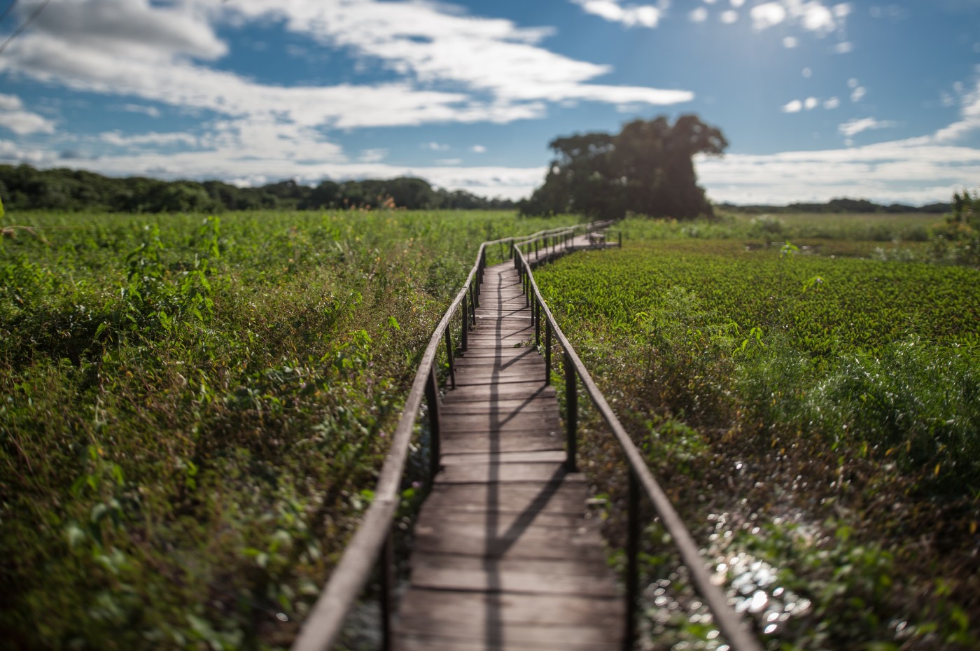 Araras Eco Lodge, Pantanal, Brazil