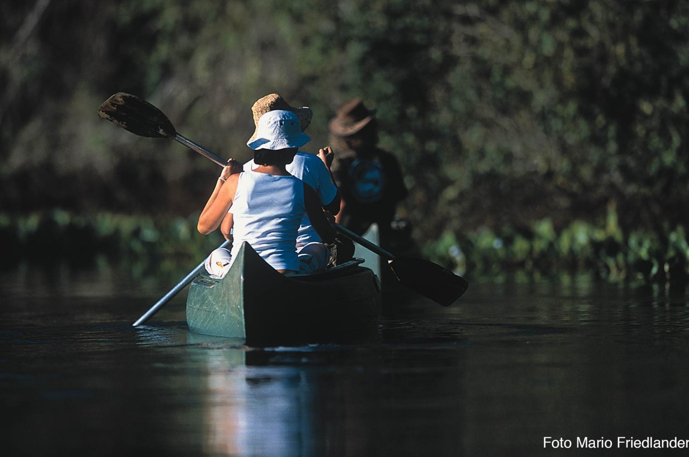 Araras Eco Lodge, Pantanal, Brazil