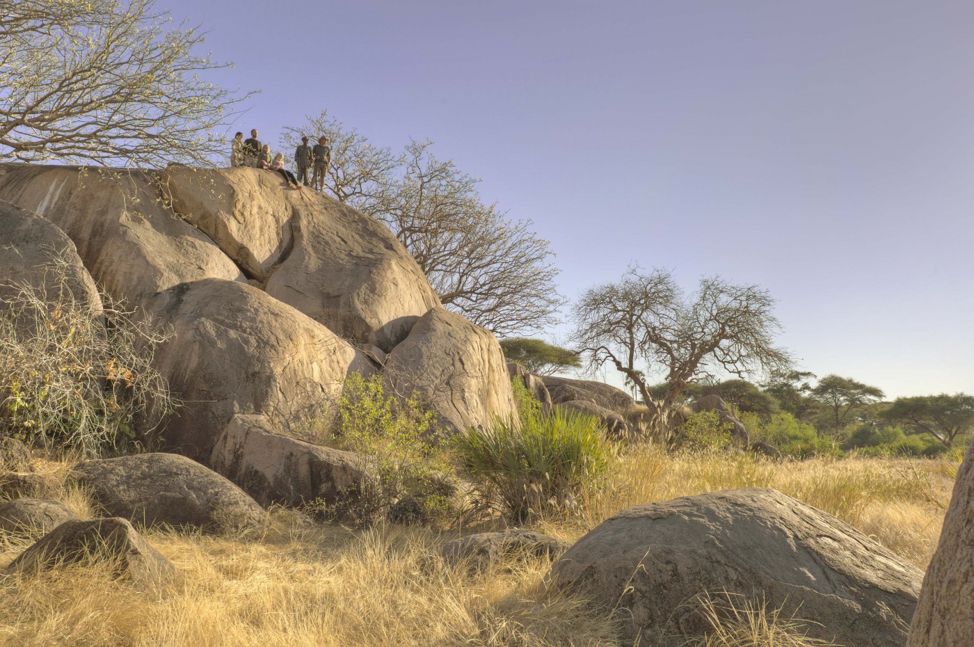 Kichaka Expeditions, Ruaha, Tanzania