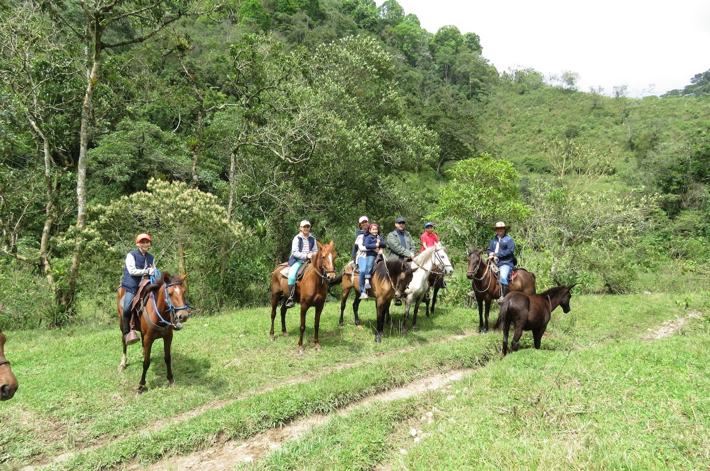 Eco hotel La Cabaña, Kafferegionen, Colombia