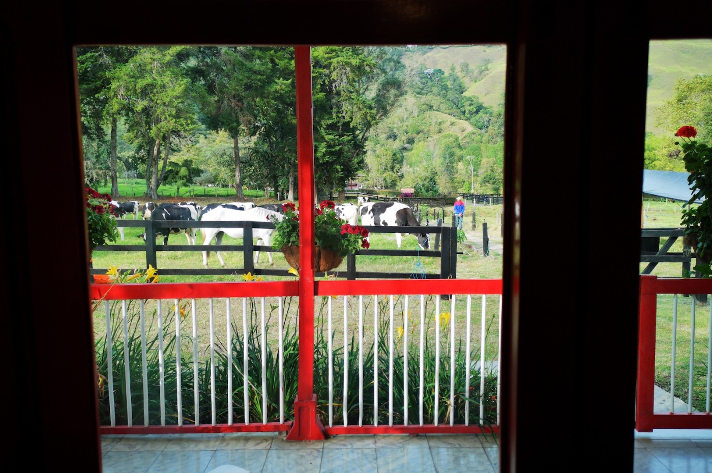 Eco hotel La Cabaña, Kafferegionen, Colombia