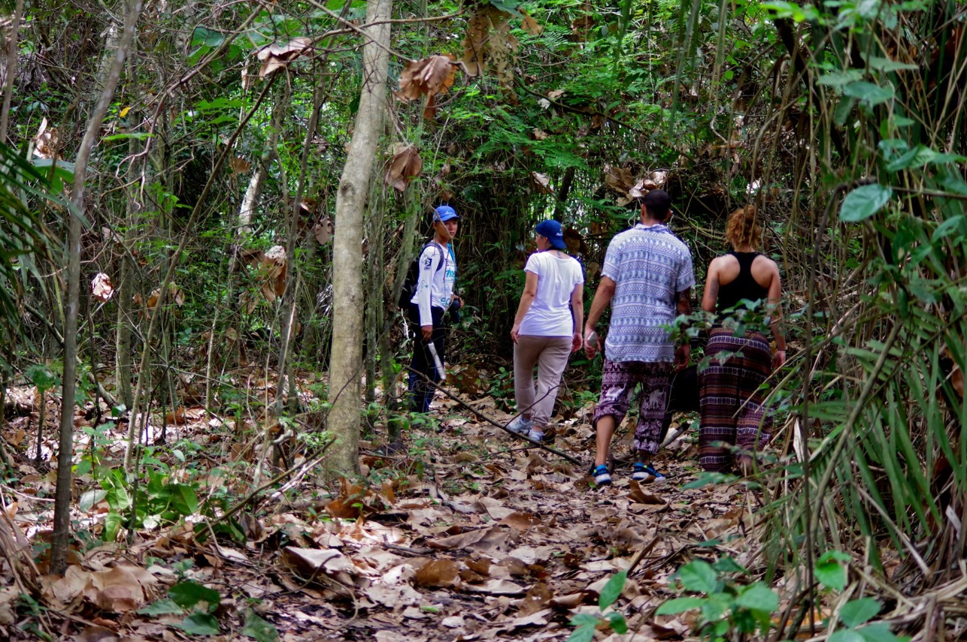 Reserva Natural Sanguaré, Den Caribiske Kyst, Colombia