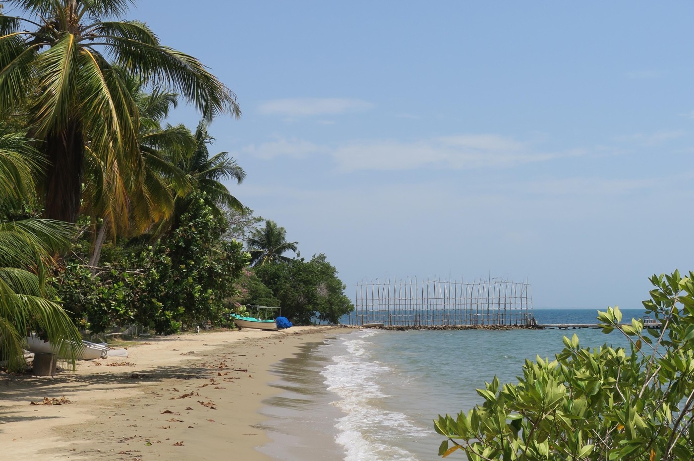 Reserva Natural Sanguaré, Den Caribiske Kyst, Colombia