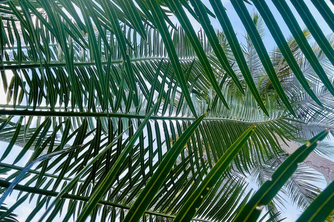 CoCo Cottages, Koh Ngai, Thailand