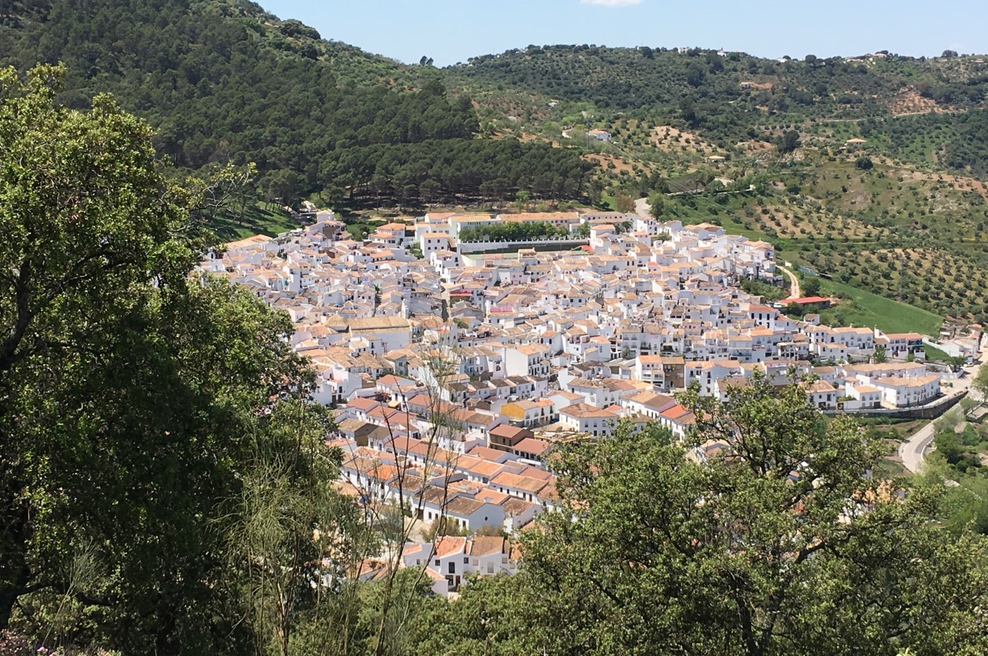 La Donaira El Gastor Pueblo Blanco