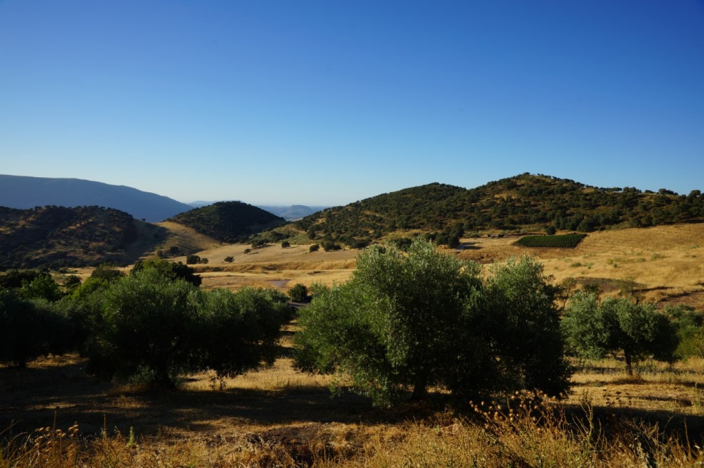 La Donaira Landscape