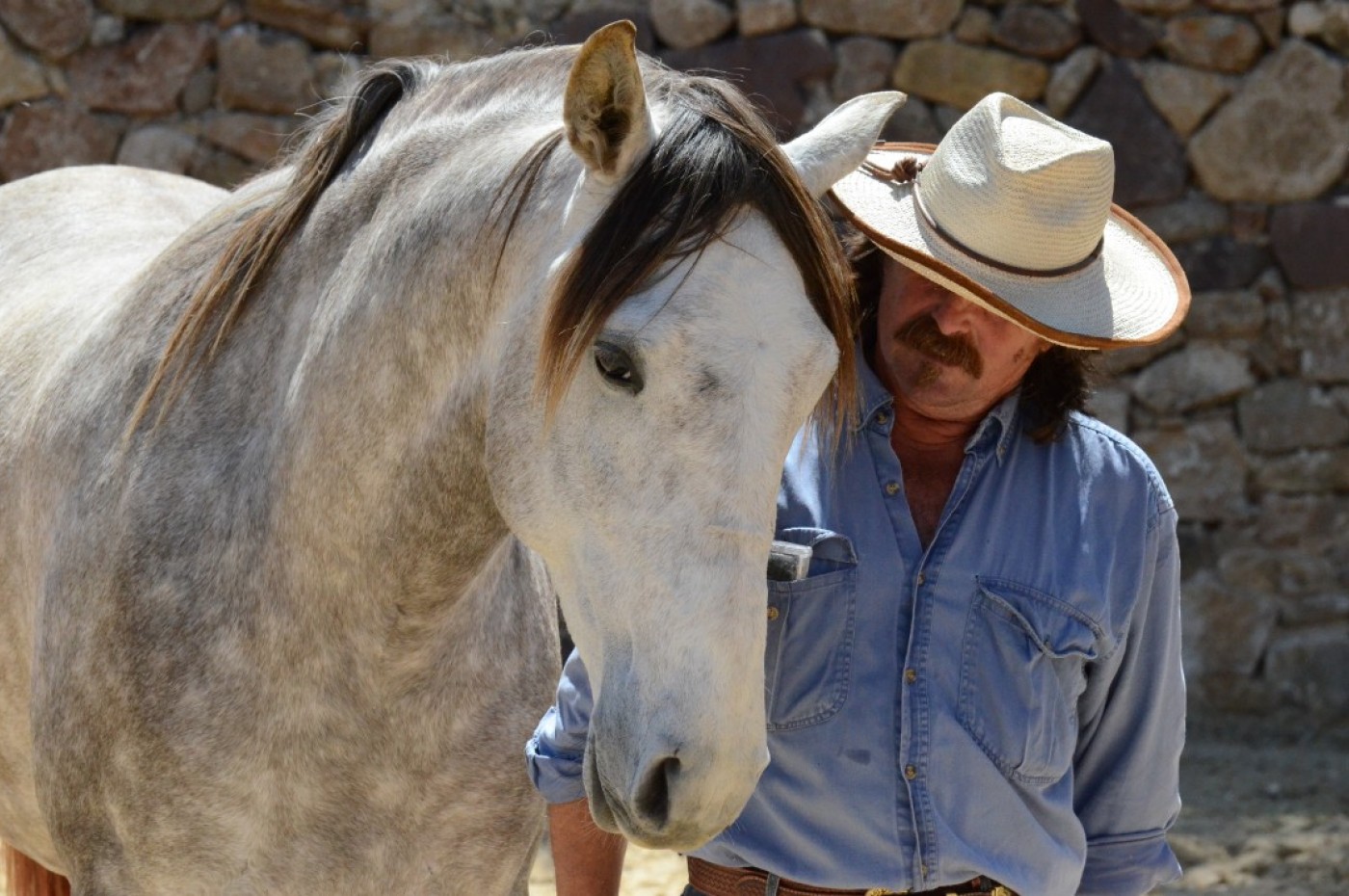 La Donaira Horse and Rider