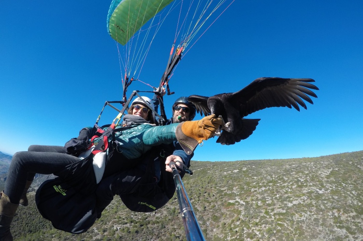 La Donaira Gliders