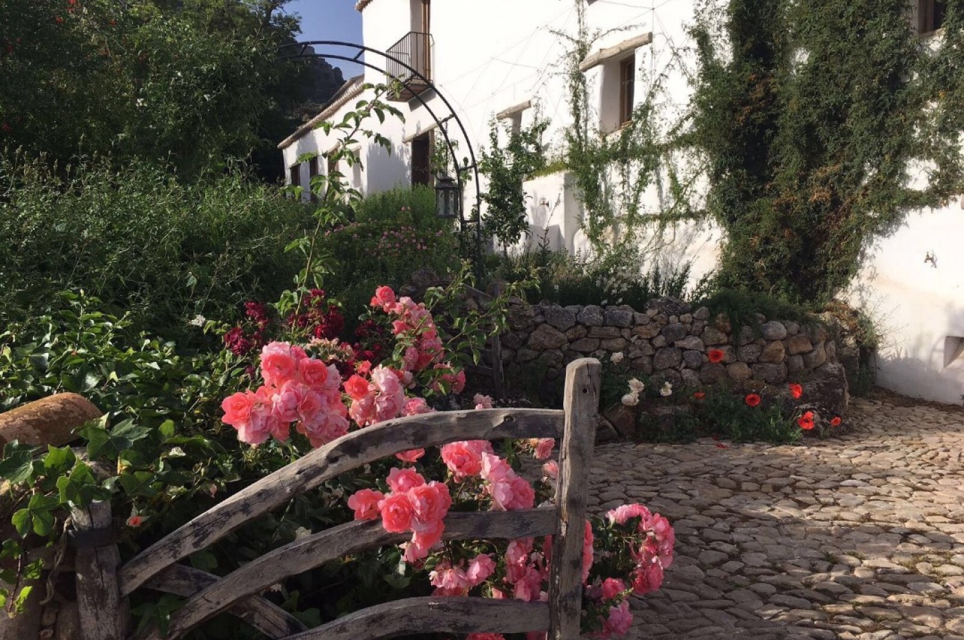 La Donaira Flowers