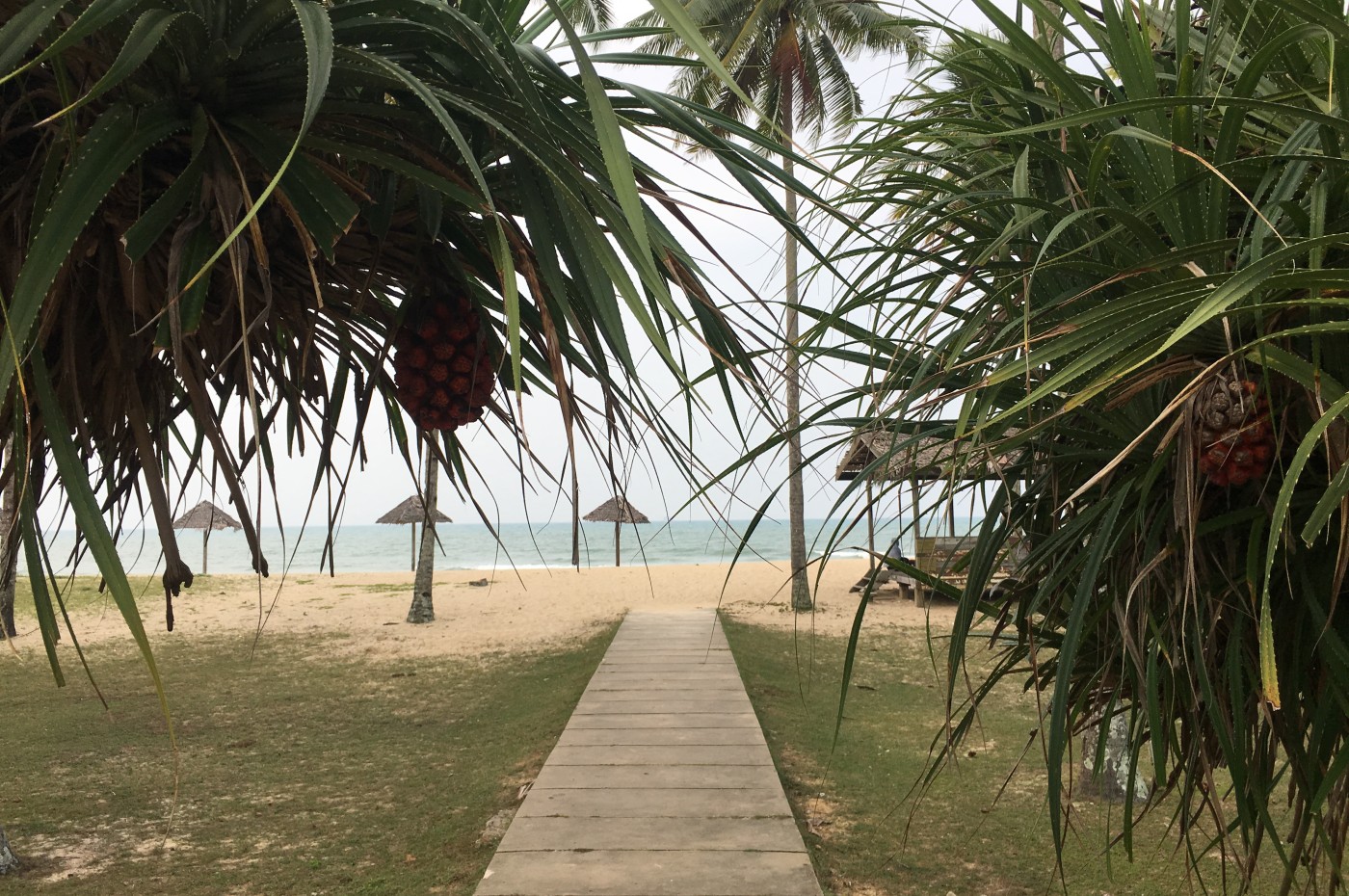Terrapuri beach access