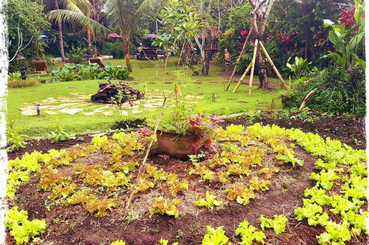 Swasti Eco Cottages Ubud