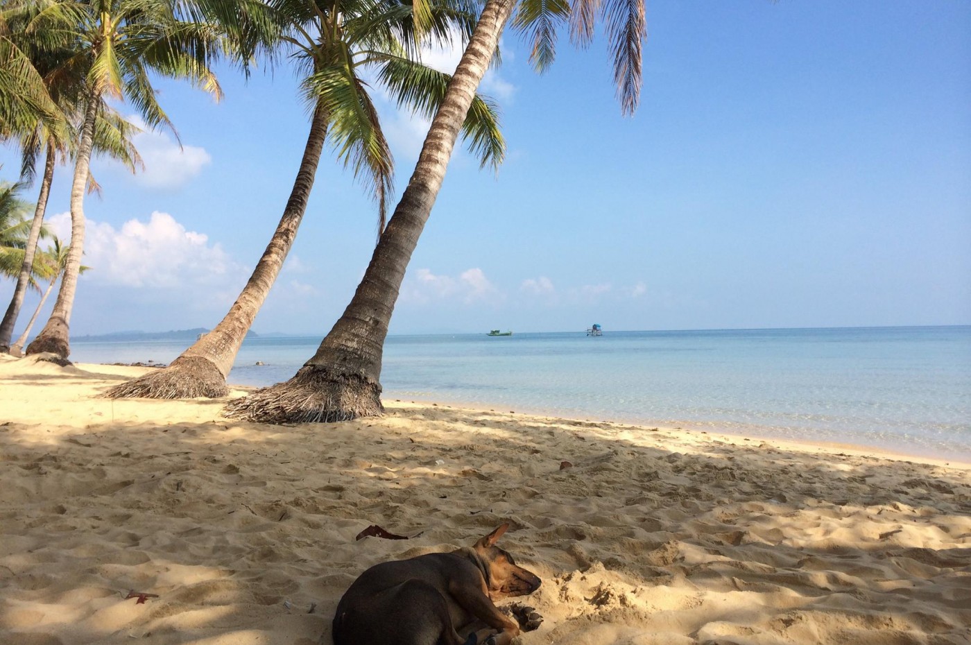 Peppercorn Beach Resort, Phu Quoc