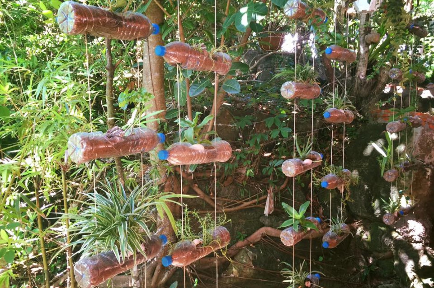 Peppercorn Beach Resort, Phu Quoc