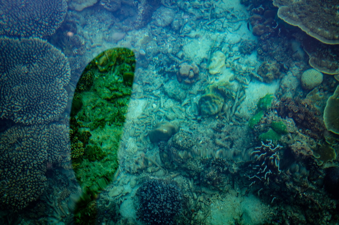 Wa Ale clear water