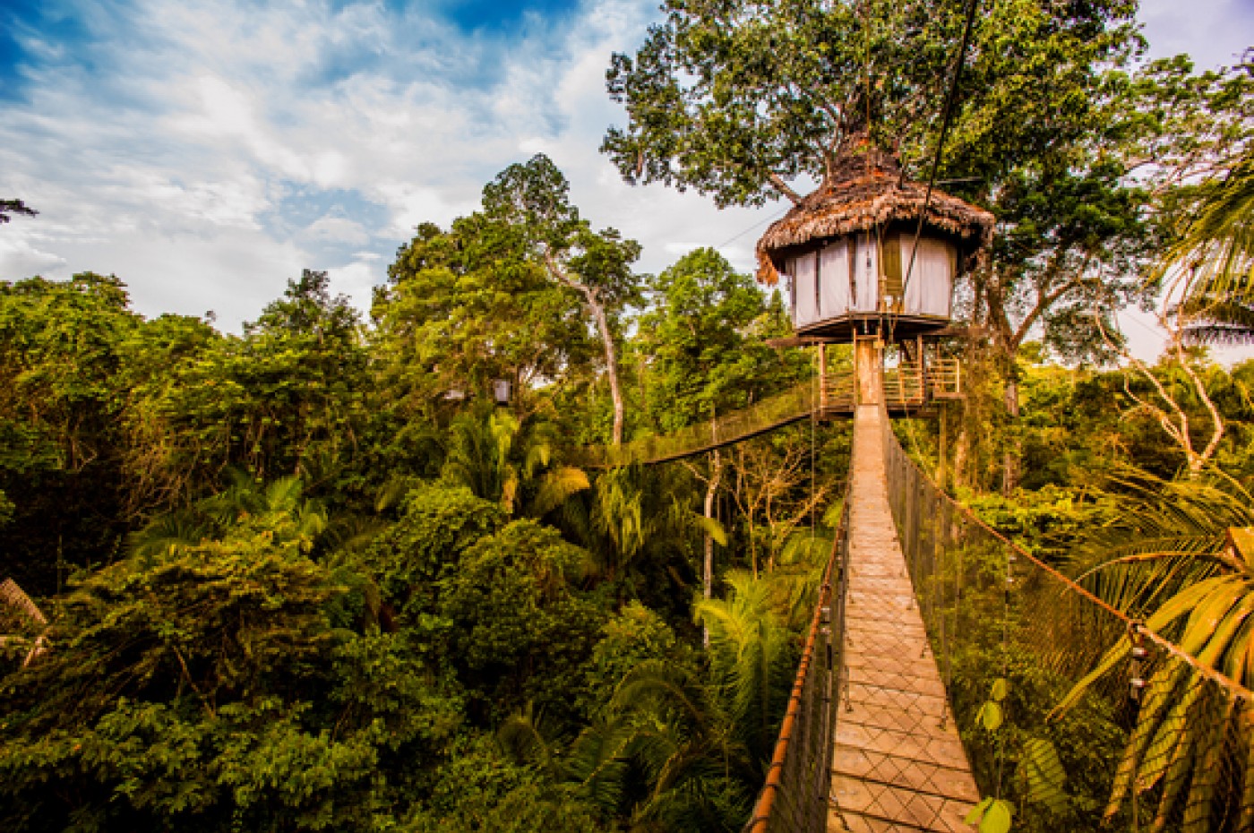 Treehouse Lodge Peru