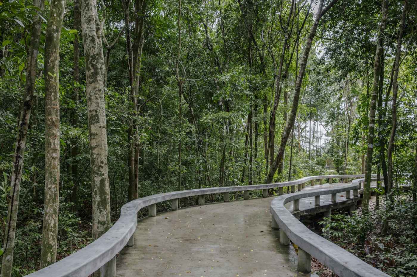 The Kasturi, Malaysia