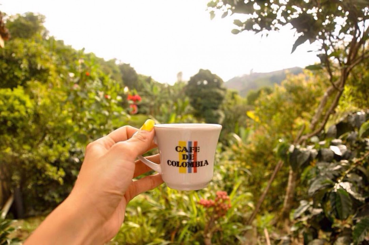 Kafferegionen, Colombia