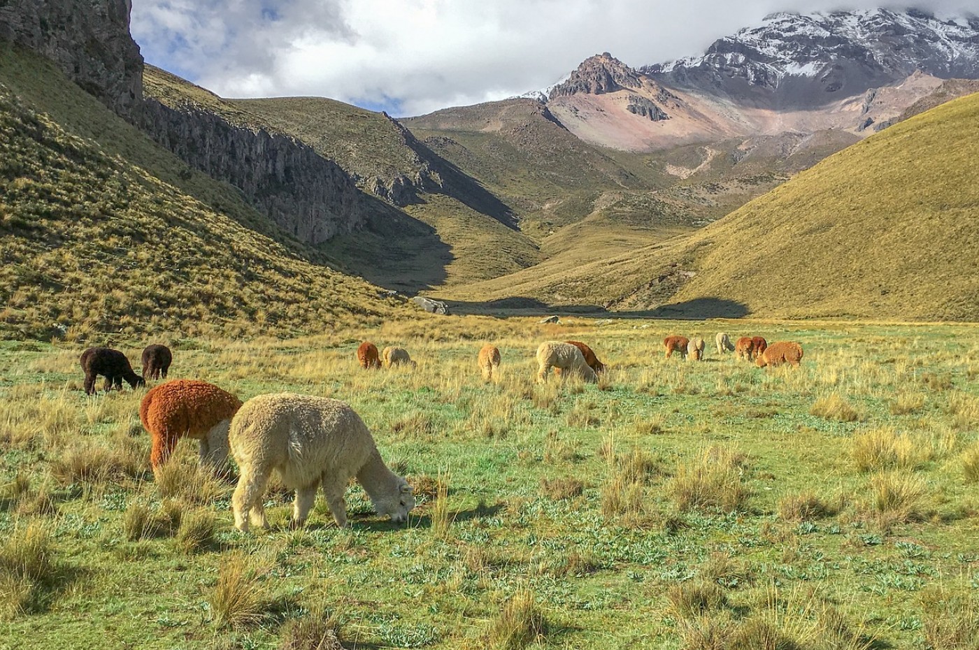 Andesbjergene er noget helt specielt