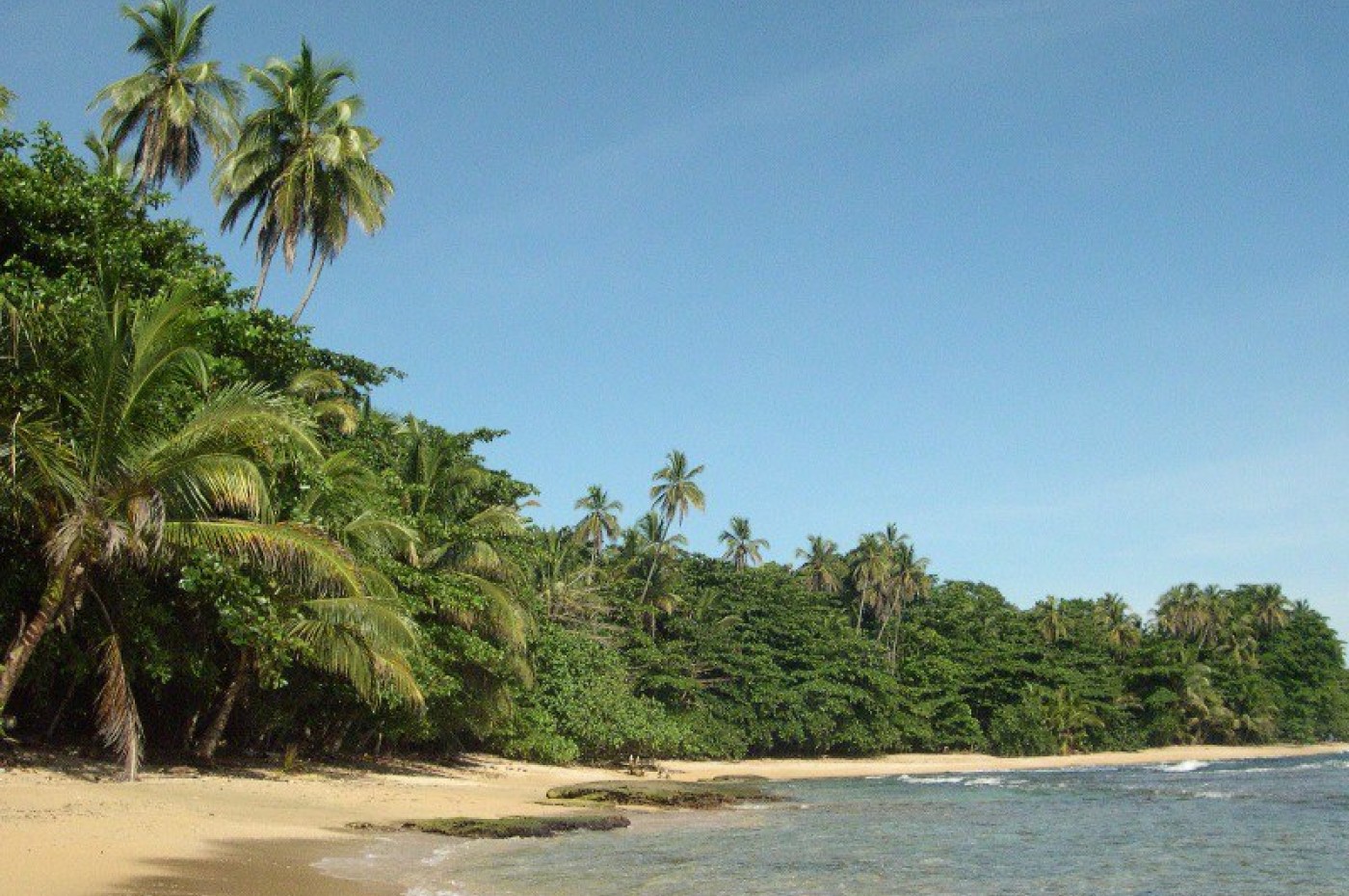 Den caribiske kyst fra sin smukkeste side