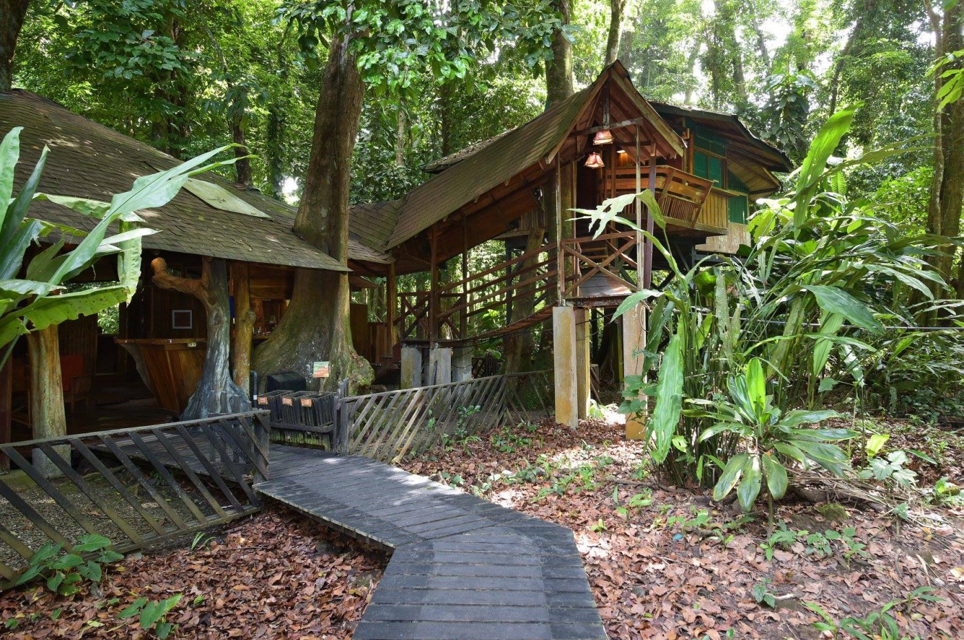 Smukt eco-design på Treehouse Lodge