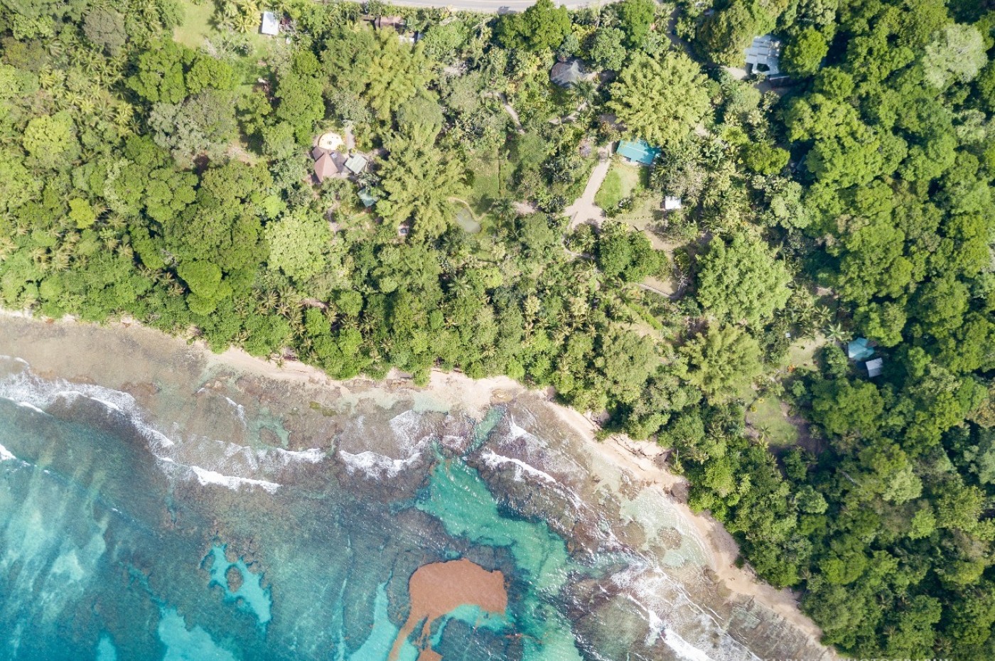 Treehouse Lodge mellem jungle og Den Caribiske Kyst