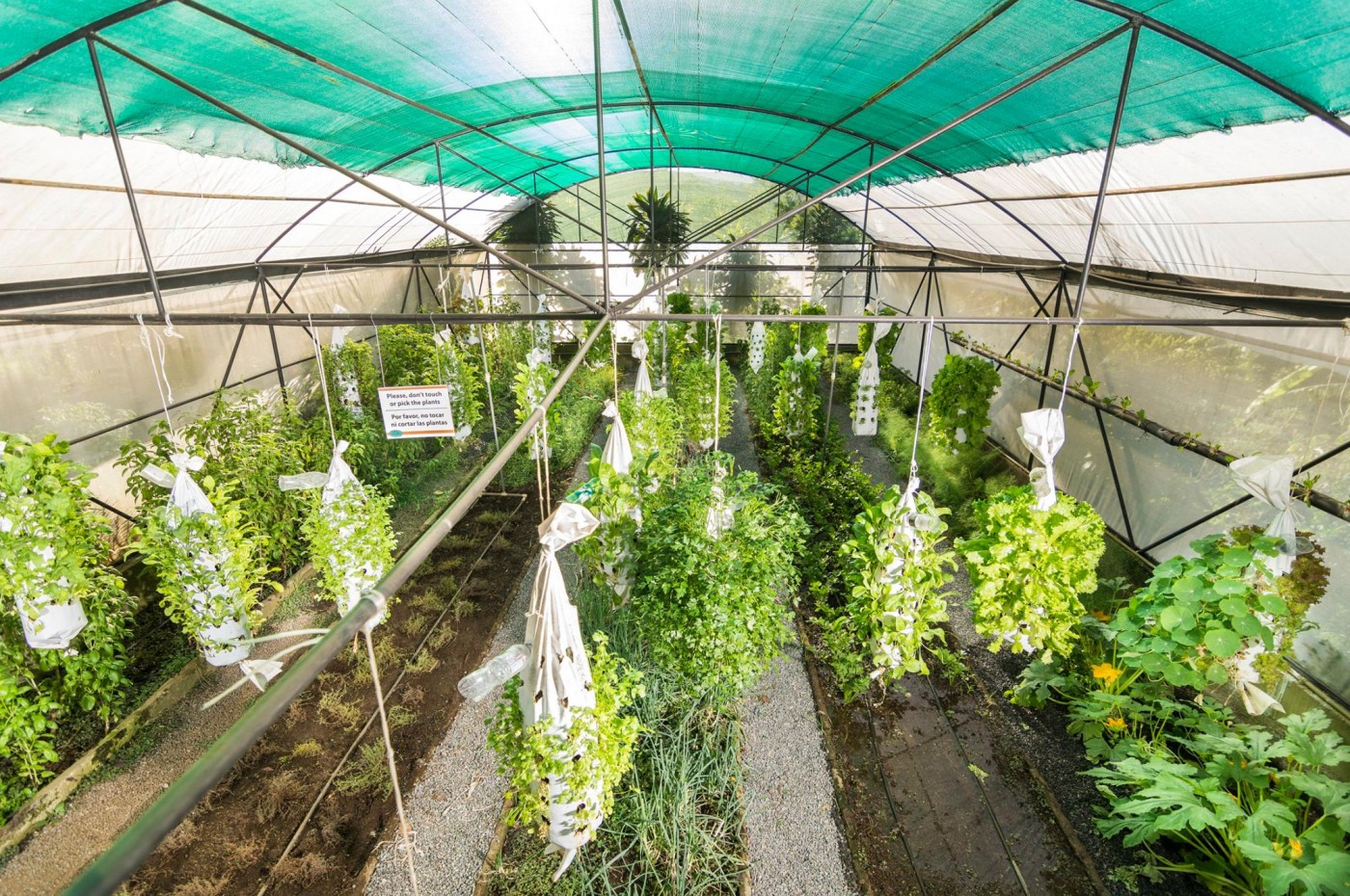 Finca Rosa Blanca, San Jose