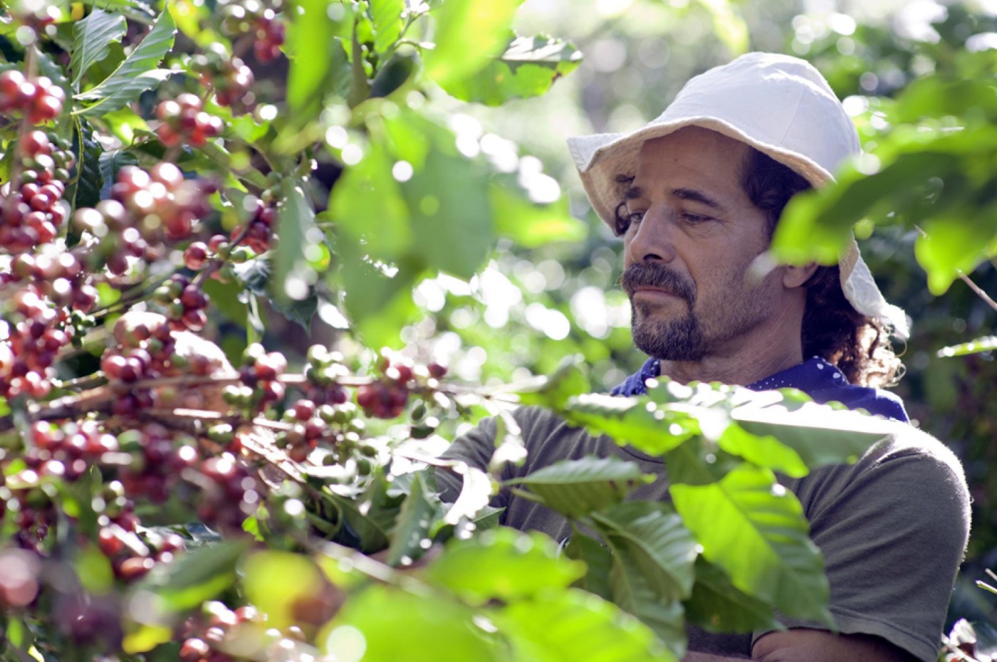 Finca Rosa Blanca, San Jose