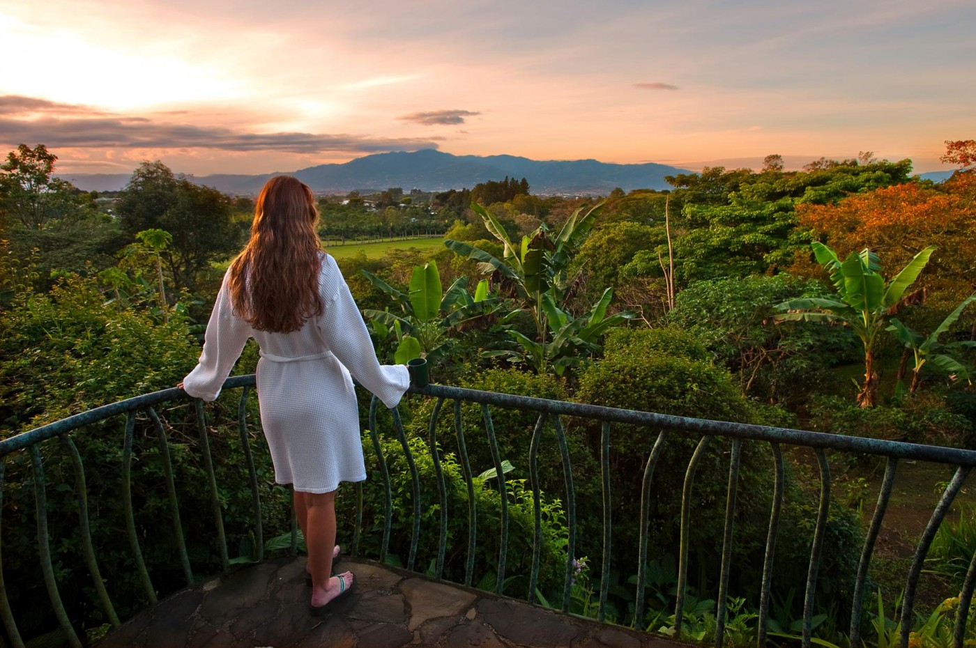 Finca Rosa Blanca, San Jose