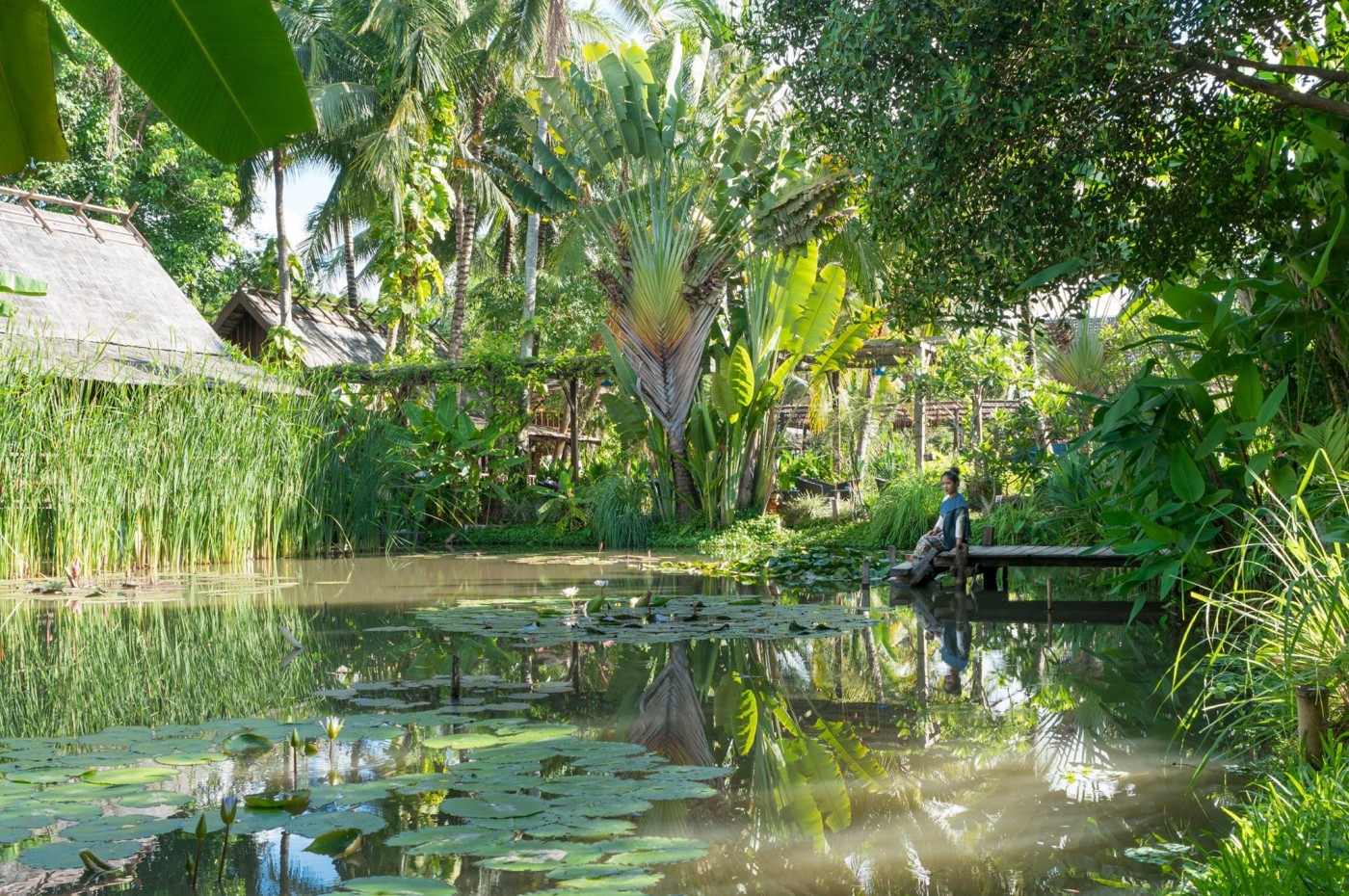 Maison Dalabua Water Lily Pond