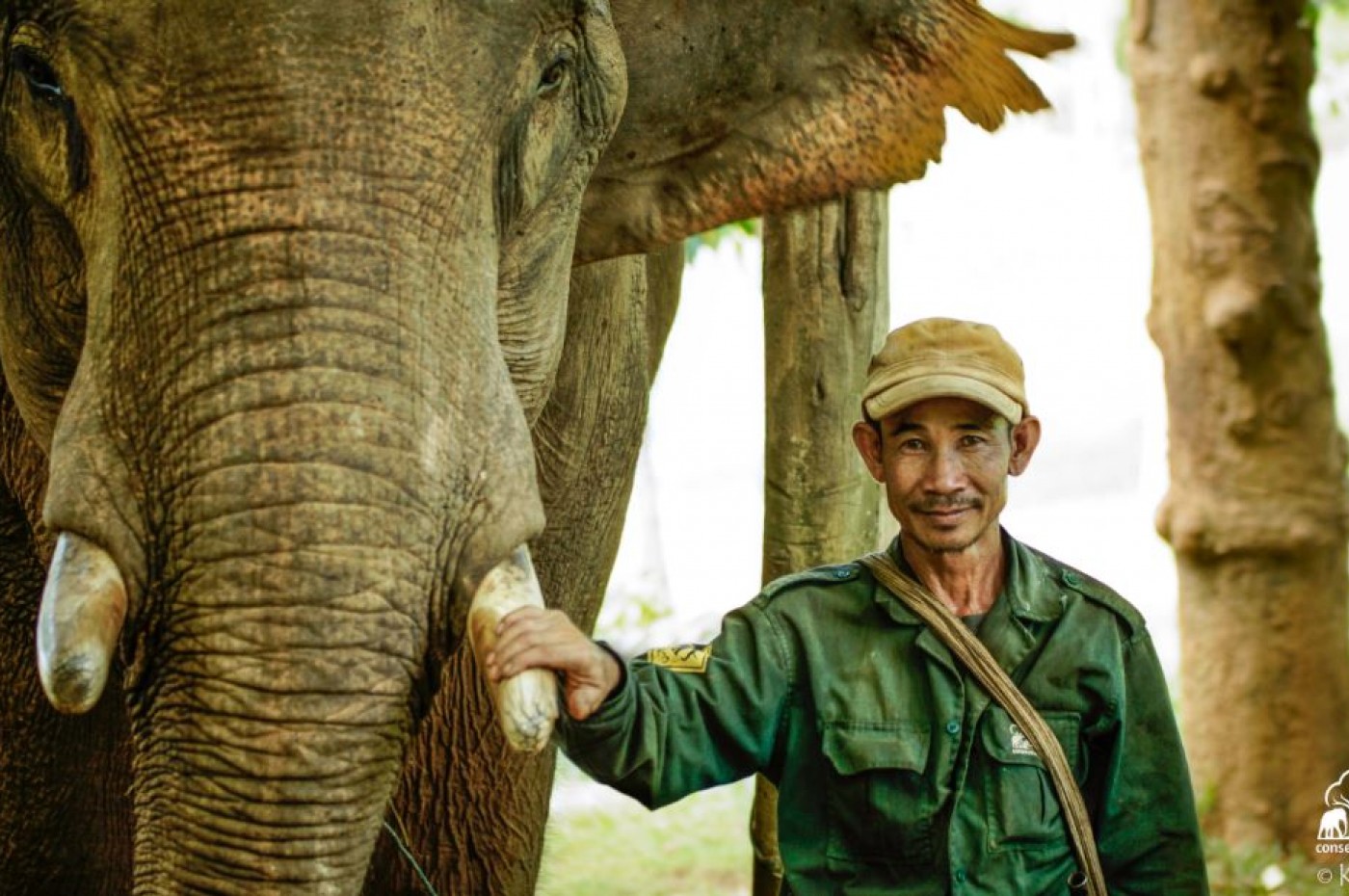LAOS Elephant Conservation Center