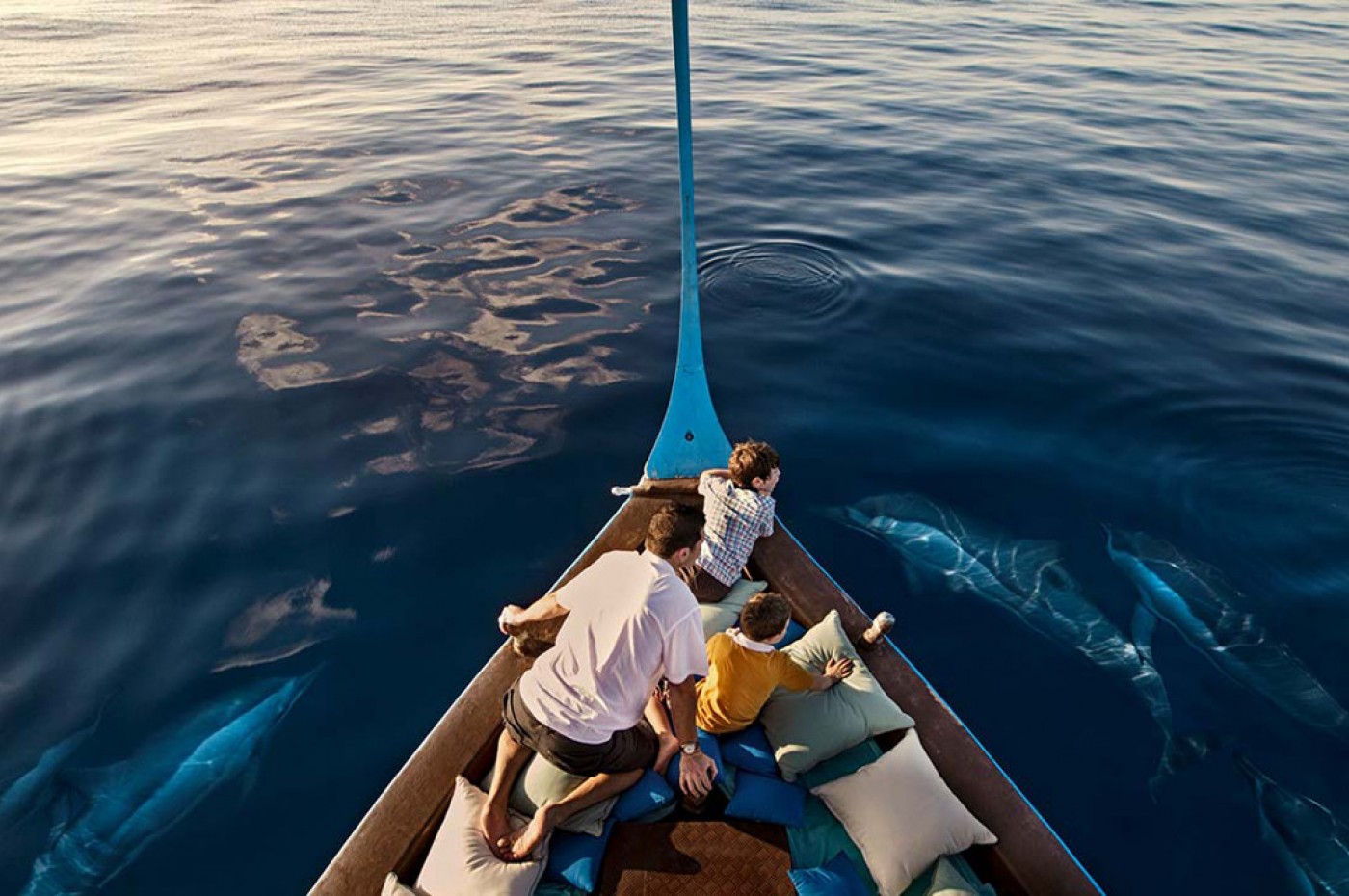 The Barefoot Maldives Dolphins
