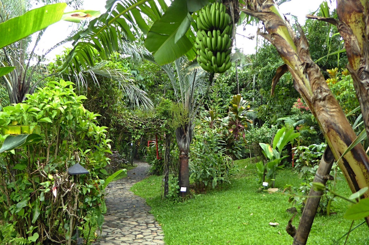 Garden Pura Vida Hotel