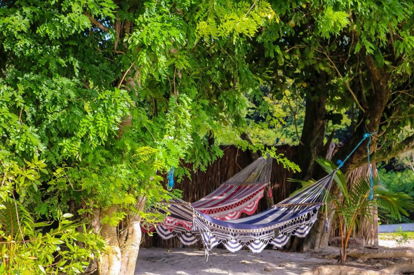 Cala Mia Resort, Isla Boca Brava