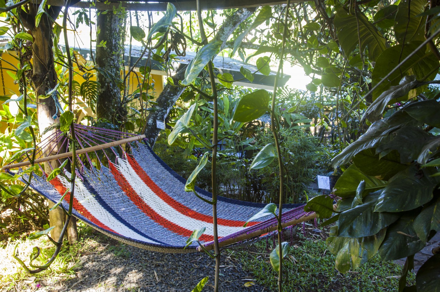 Hammock Pura Vida Hotel