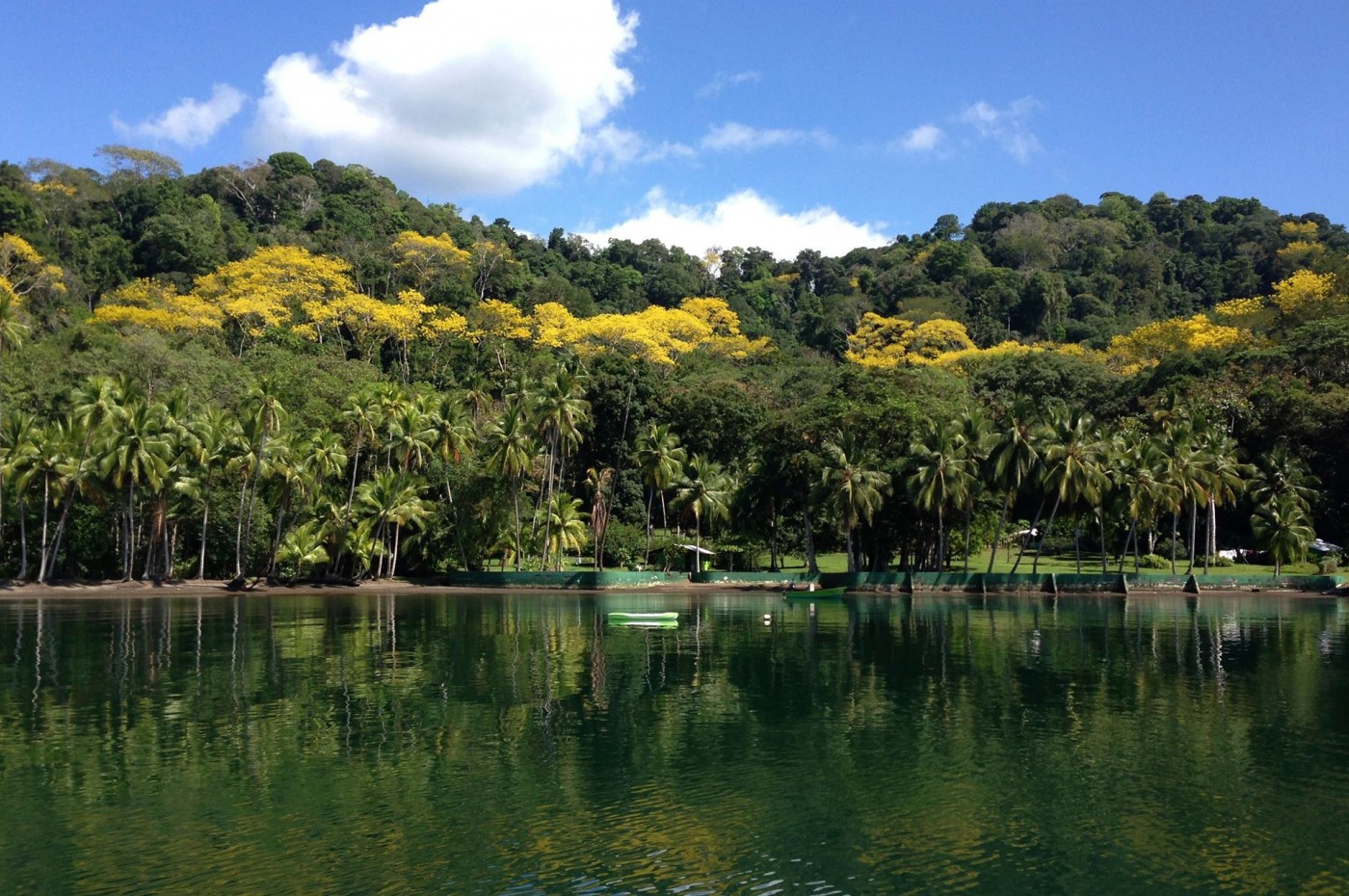 Saladero Eco Lodge Forest