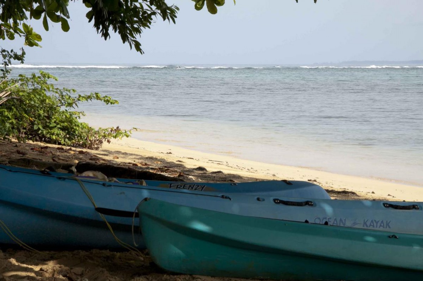Al Natural- Bocas del Toro