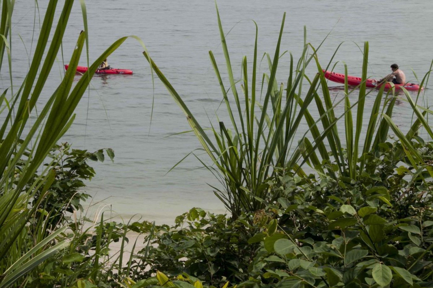 Al Natural-Bocas del Toro
