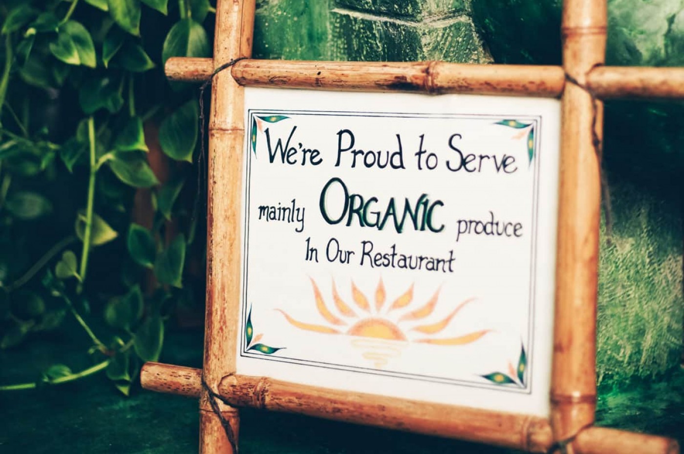 Ylang Ylang Beach Resort, Montezuma