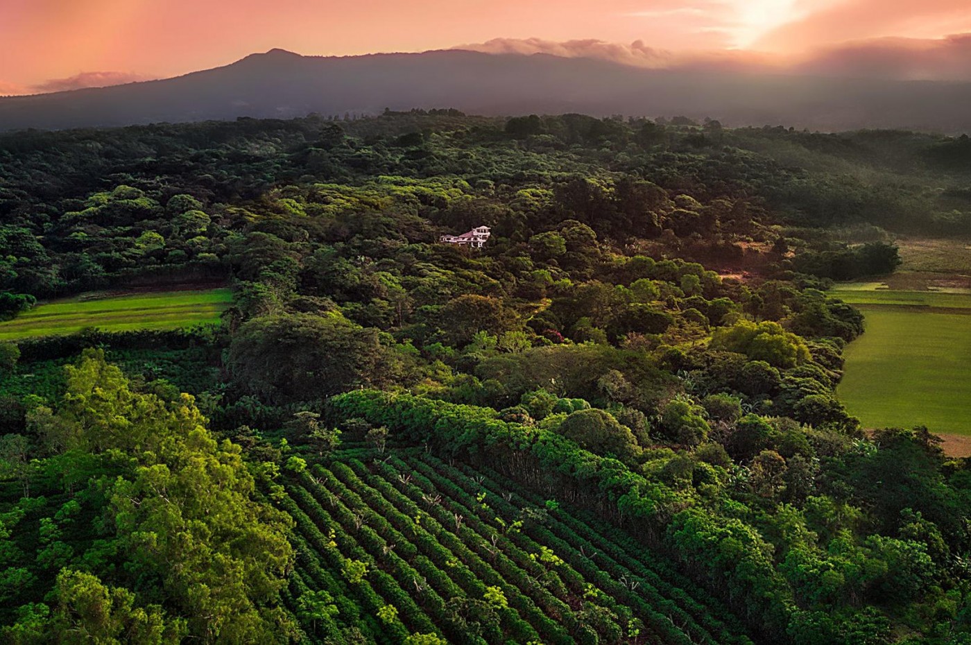 Finca Rosa-San Jose