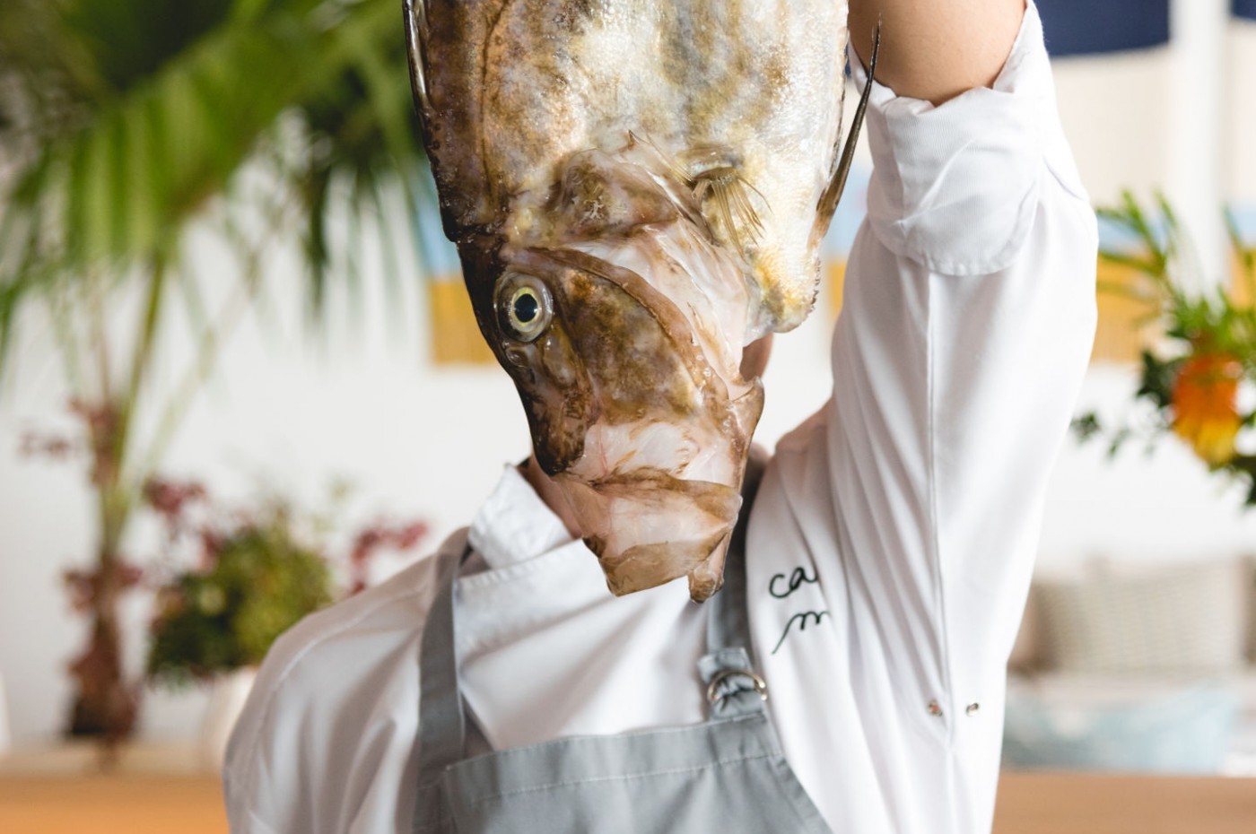 Casa Mae Fishhead